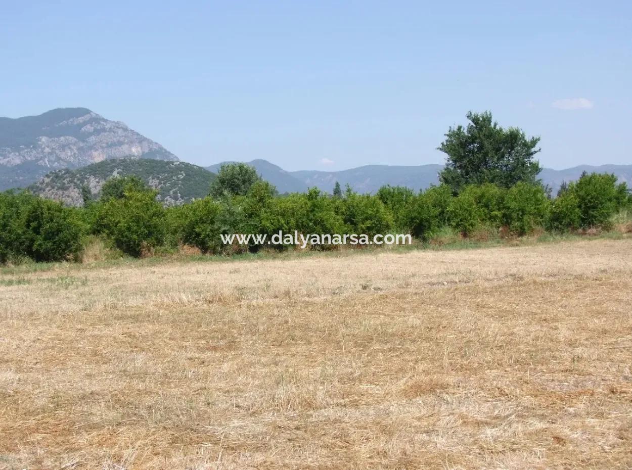 Plot For Sale On The Corner Of 540M2 In Okcular