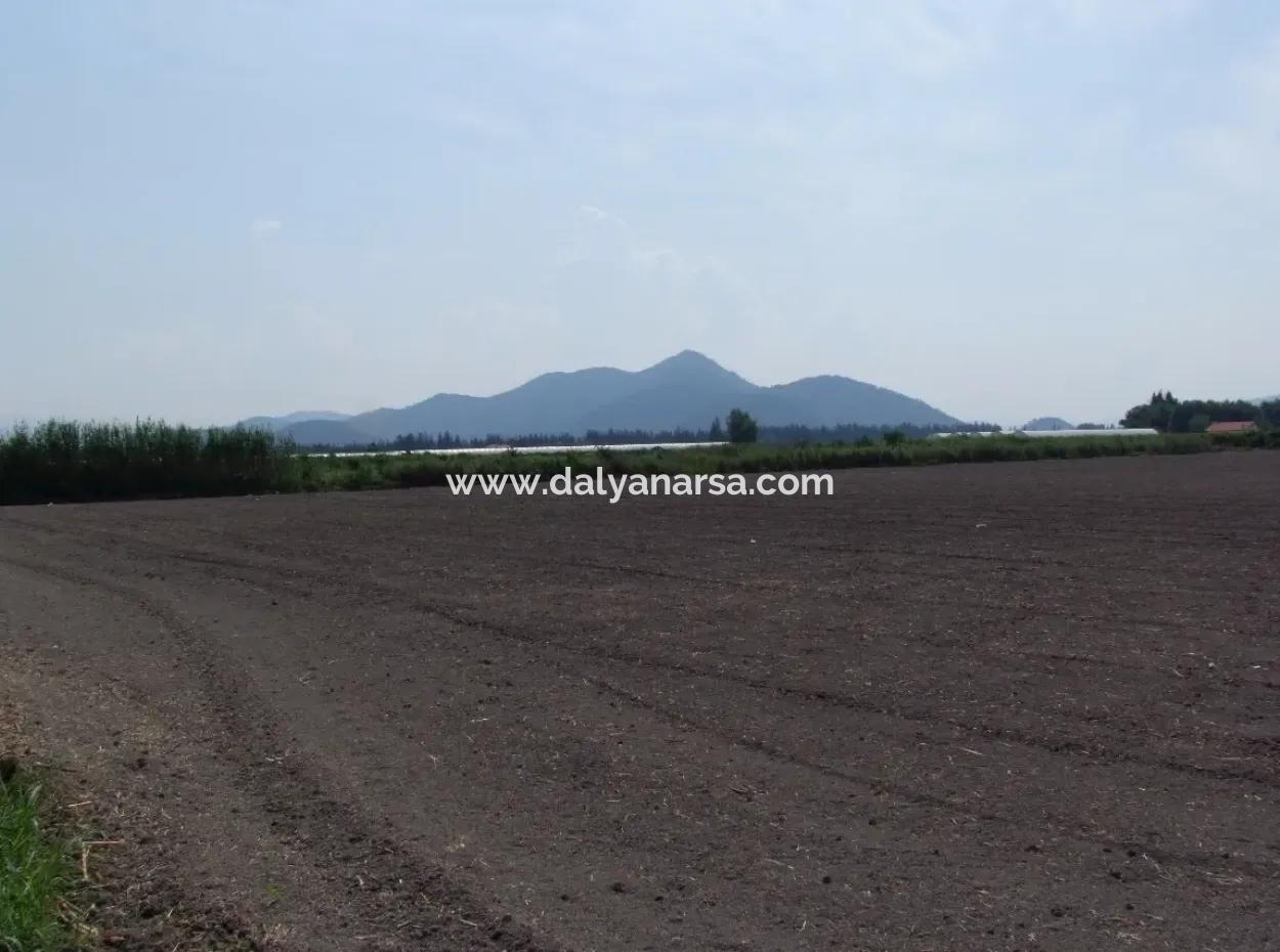 Farm For Sale In Dalyan Eskikoy Eskikoy Oriya 14,900M2 Plot For Sale Field