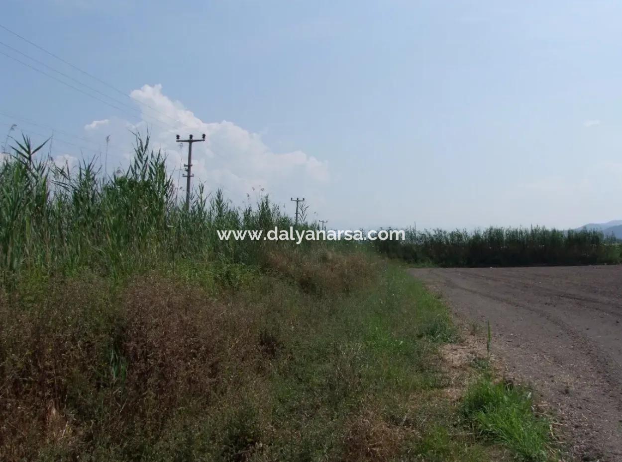 Farm For Sale In Dalyan Eskikoy Eskikoy Oriya 14,900M2 Plot For Sale Field