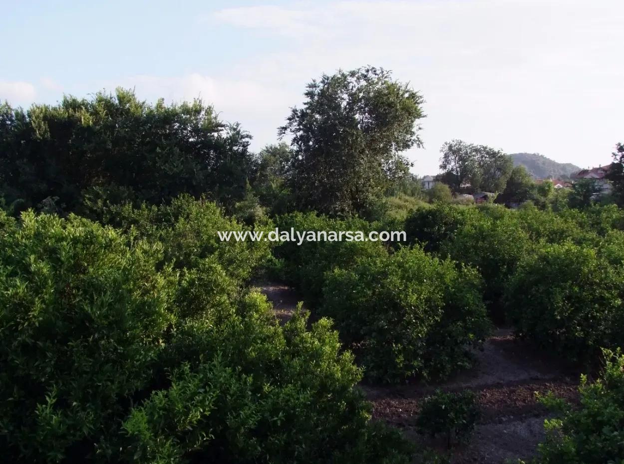Near The Centre Of Dalyan In Dalyan Plot For Sale For Sale 987M2