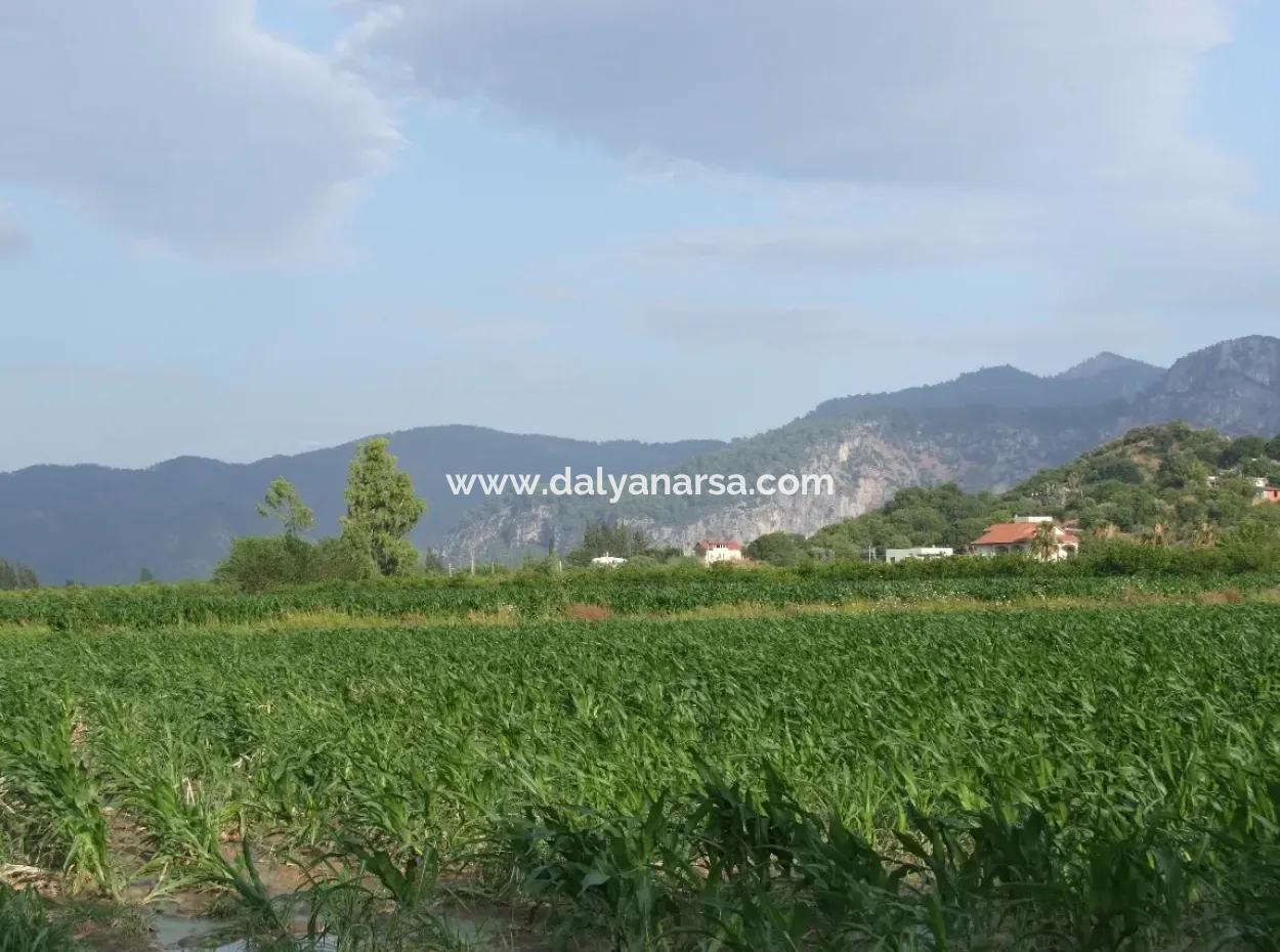 Farm For Sale Near The Centre Of Dalyan,14, 612M2 Farm For Sale