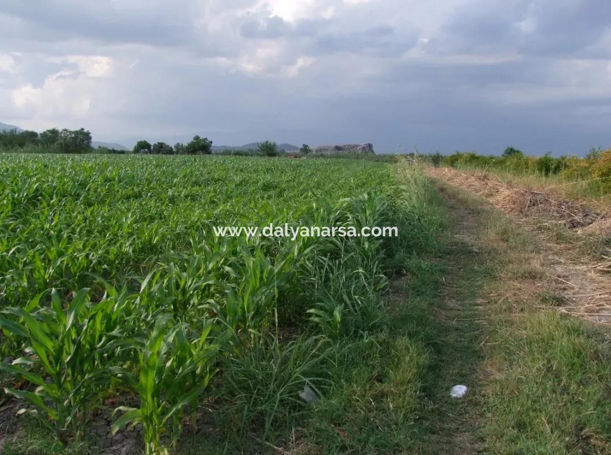 Farm For Sale Near The Centre Of Dalyan,14, 612M2 Farm For Sale