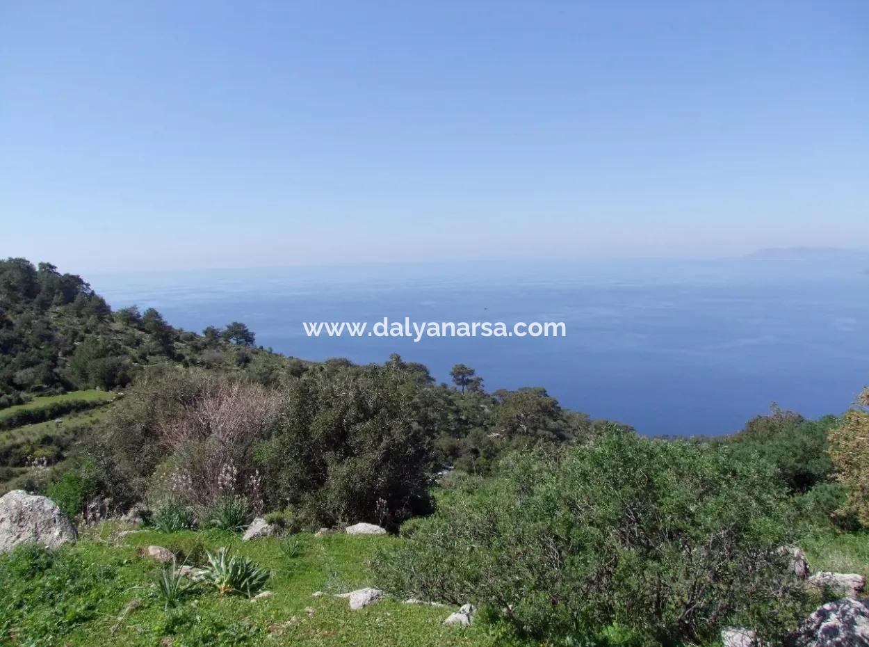 For Sale In Faralya Faralya With Sea View And 11,286M2 Land For Sale Tourism