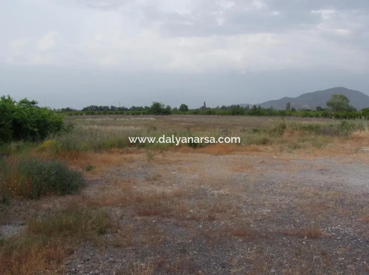 Commercial Plot For Sale In Dalyan, Dalyan On Highway 17,805M2 Plot For Sale Bargain