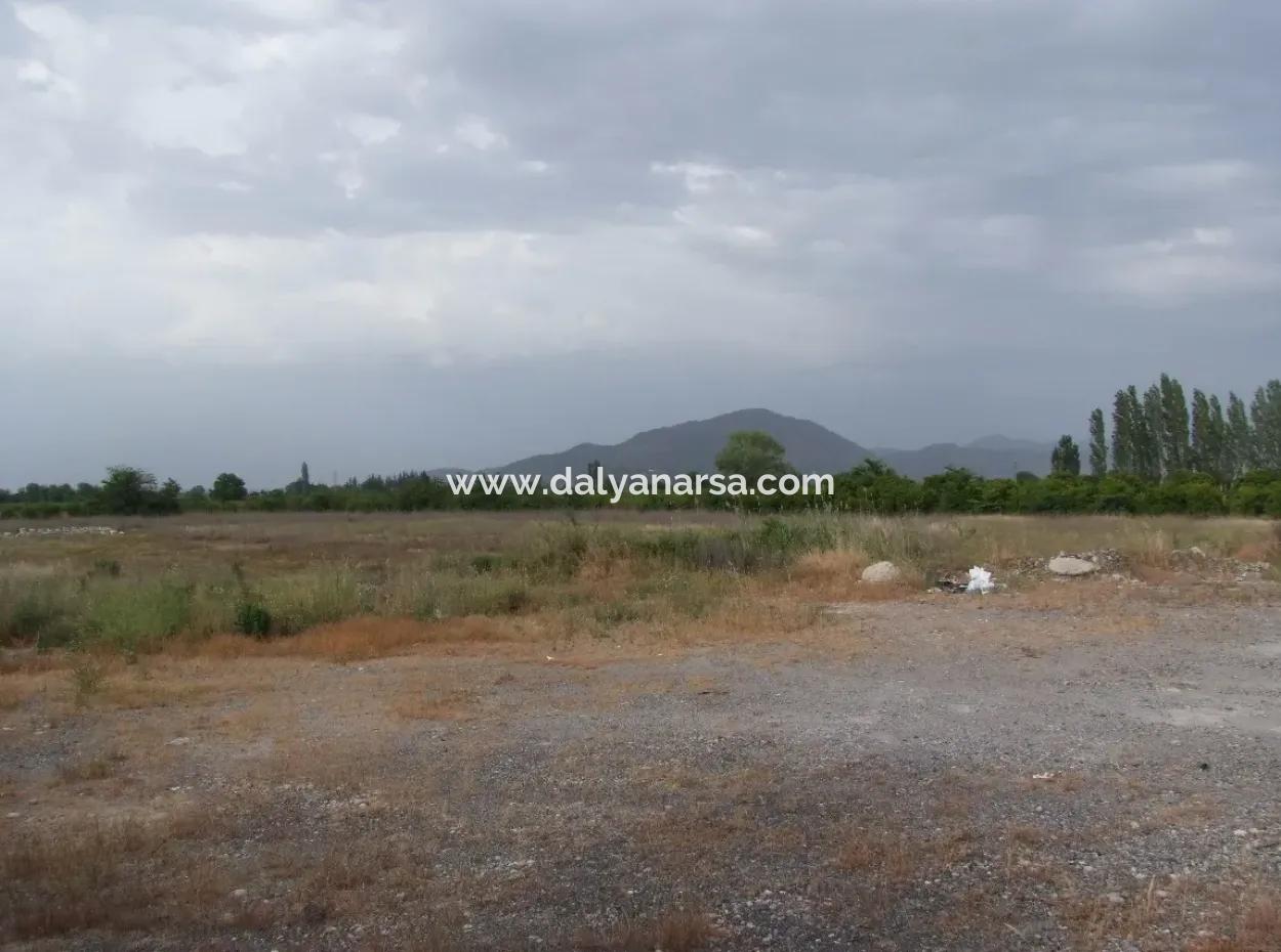 Commercial Plot For Sale In Dalyan, Dalyan On Highway 17,805M2 Plot For Sale Bargain