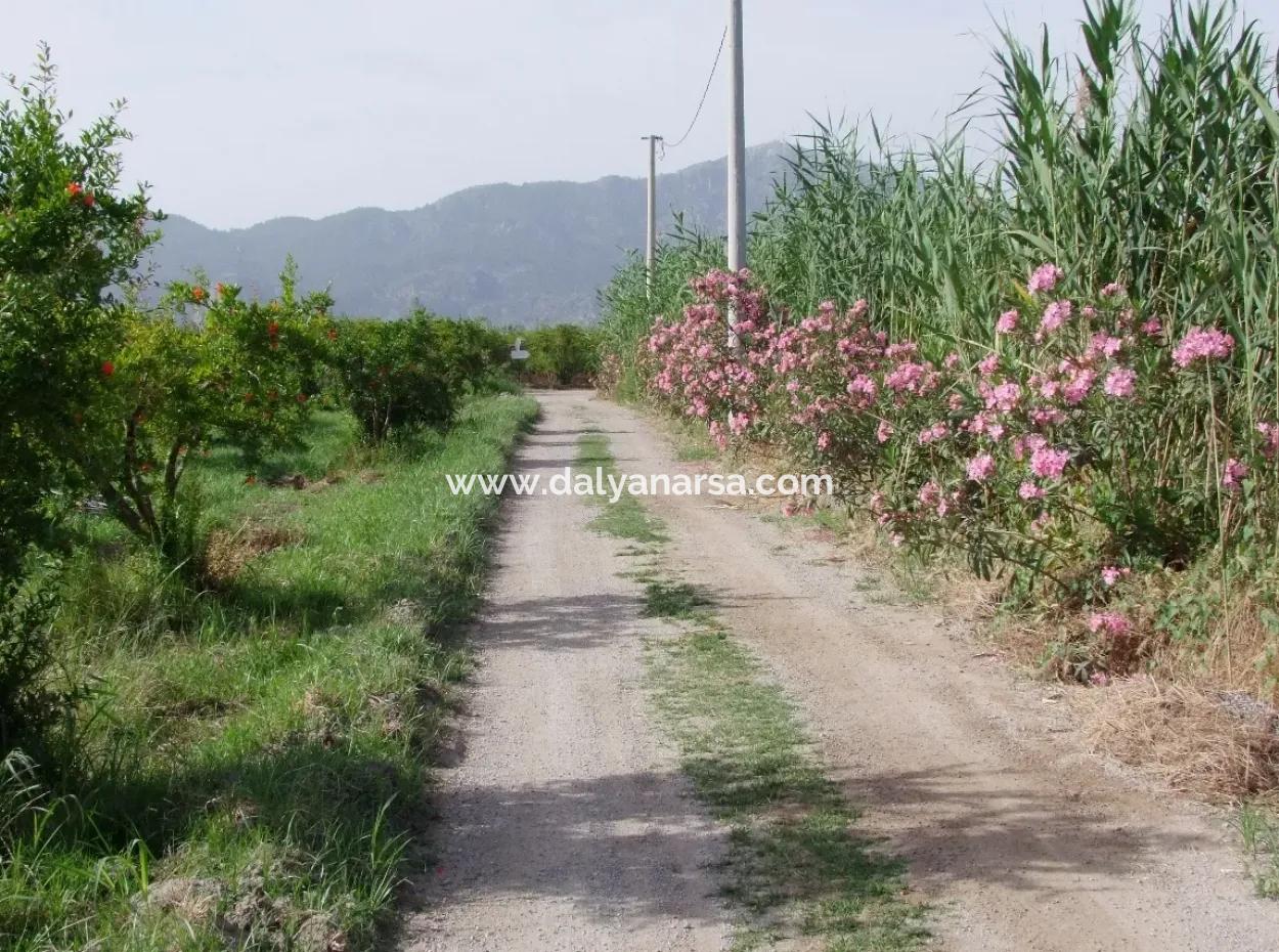 Merkez Dalyan Iztuzu Lake Garden Villa For Sale