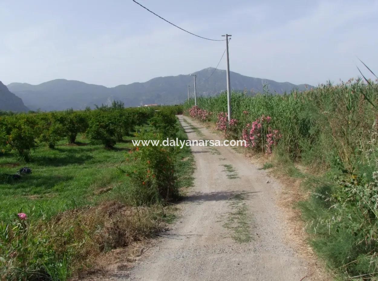 Merkez Dalyan Iztuzu Lake Garden Villa For Sale