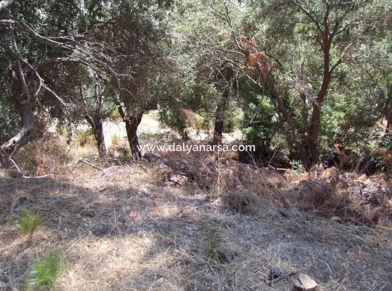For Sale Land Also With Full Sea View For Sale In Sarigerme Land For Sale