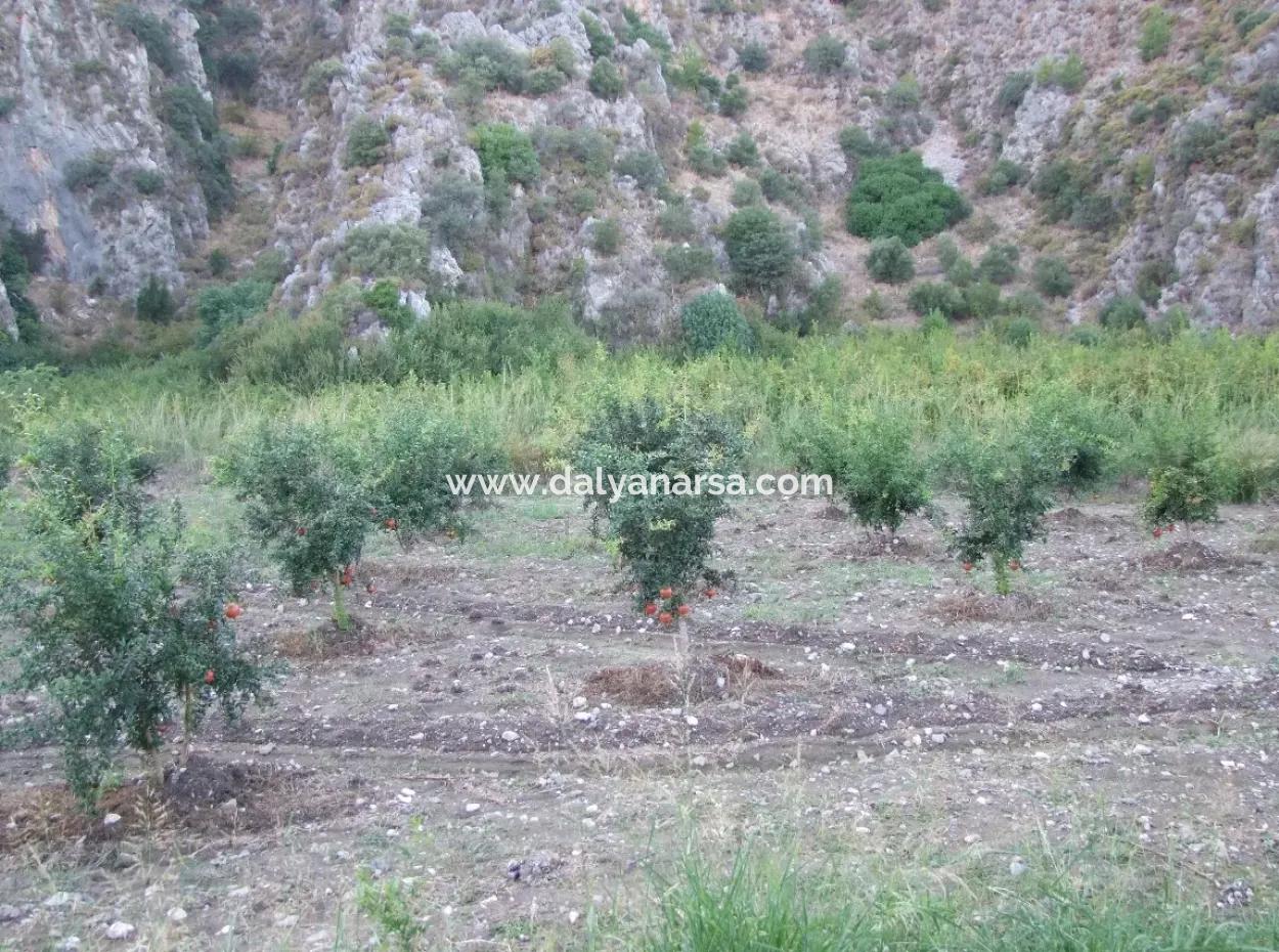Plot For Sale In Pomegranate Garden For Sale In Oriya Mergenli Mergenli