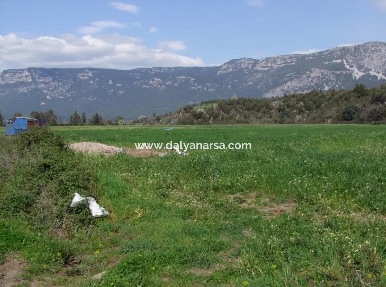 In Akyaka For Sale: Land For Sale Farm For Sale A Farm Near The Sea Of Ars, Yatirimlik 21625M2