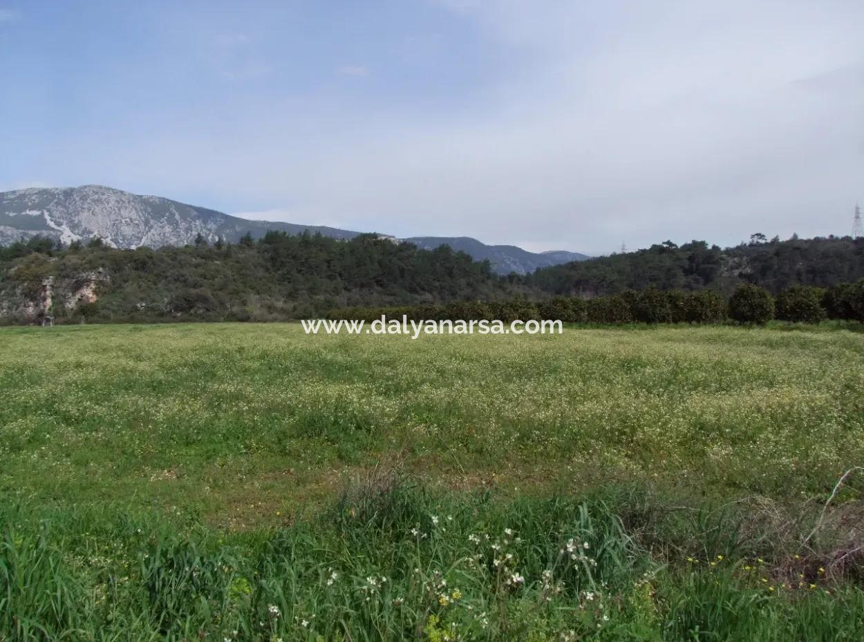 In Akyaka For Sale: Land For Sale Farm For Sale A Farm Near The Sea Of Ars, Yatirimlik 21625M2