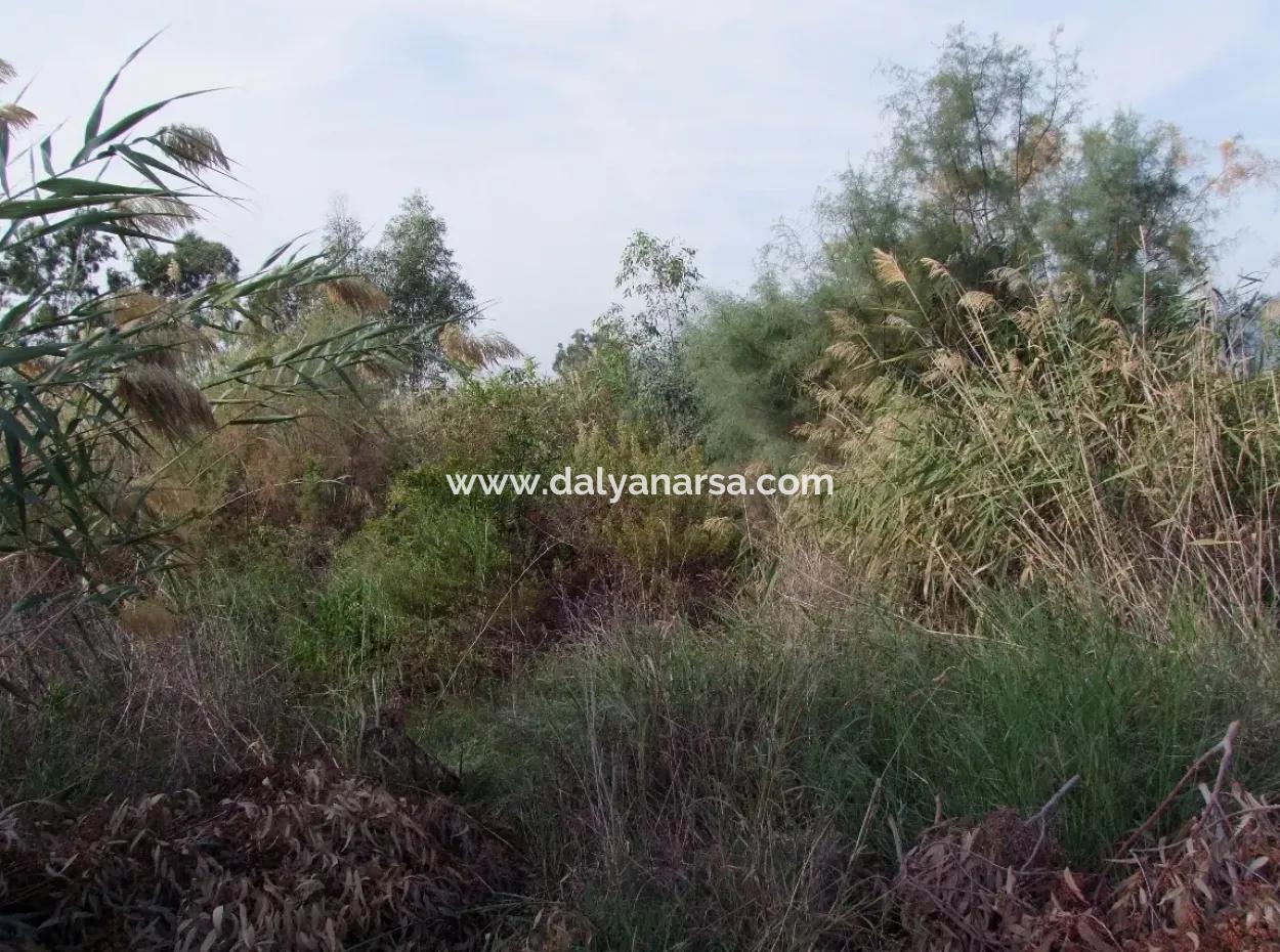 For Sale Land In Dalyan For Sale Dalyan Channel Zero