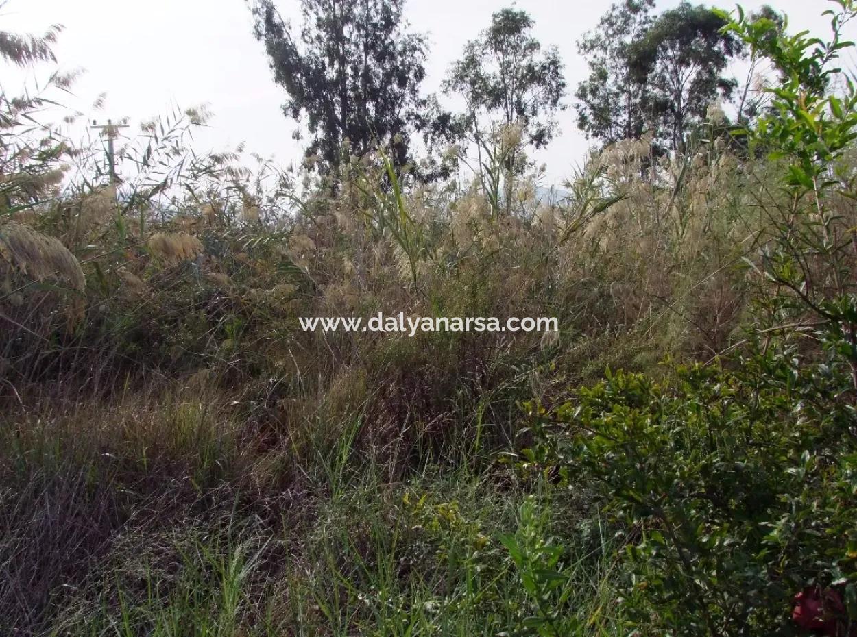 For Sale Land In Dalyan For Sale Dalyan Channel Zero