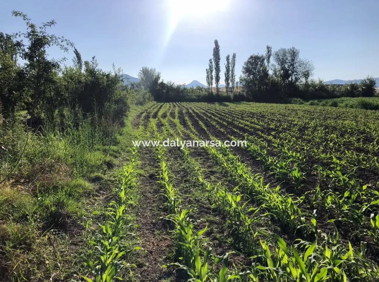 2200M2 Plot For Sale In Dalyan For Sale Dalyan