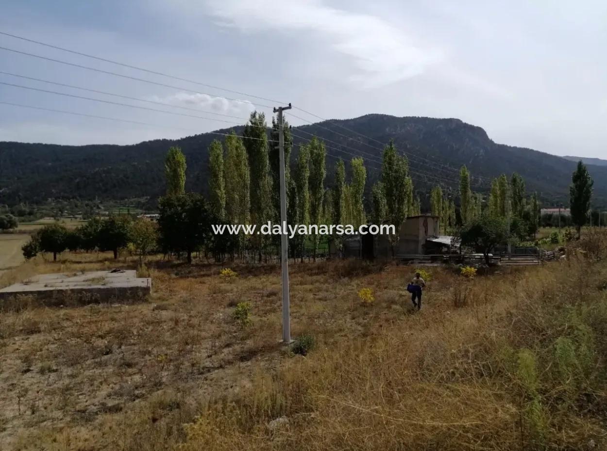 For Sale In St John's, Stabby Plot For Sale Zero In On The Path 1562M2