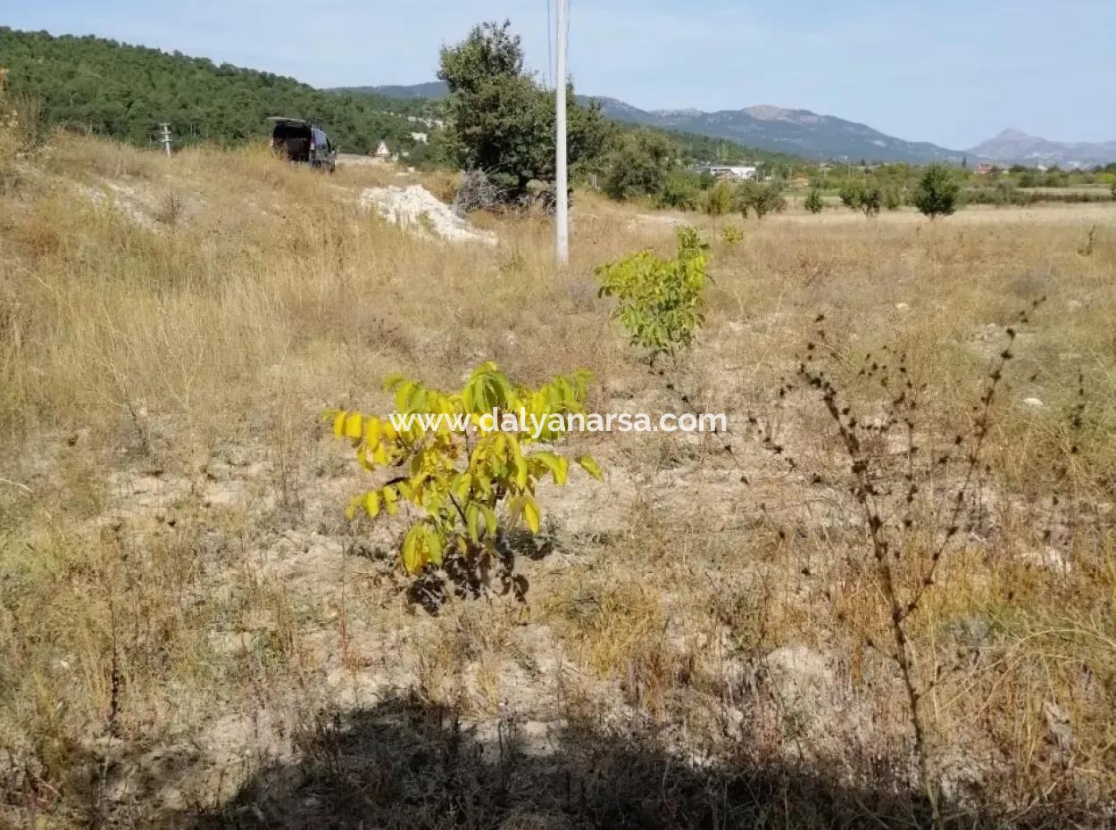 For Sale In St John's, Stabby Plot For Sale Zero In On The Path 1562M2