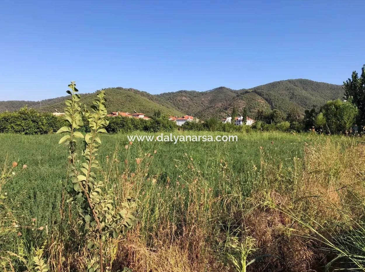 Land For Sale In The Center 891M2 Land For Sale