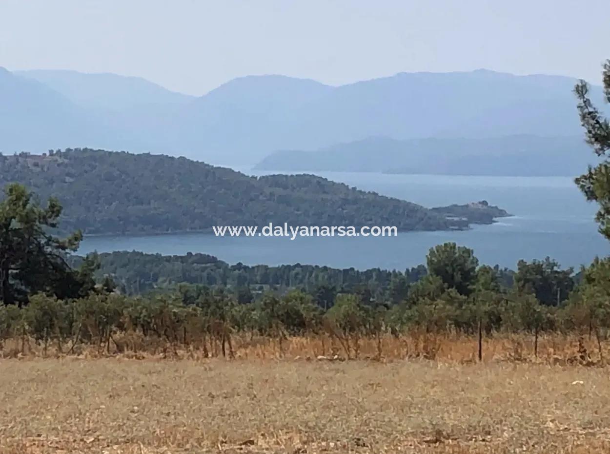 11.227M2 Land For Sale With Lake Views In Köyceğiz Zeytinalanı