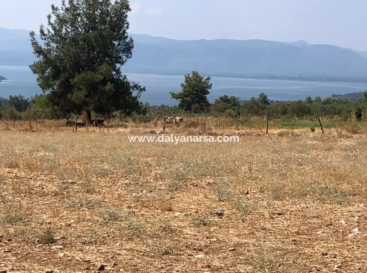 11.227M2 Land For Sale With Lake Views In Köyceğiz Zeytinalanı