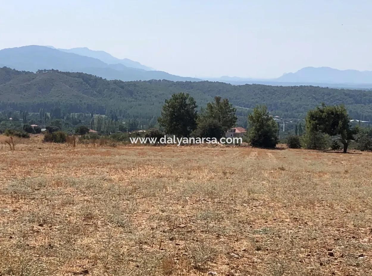 11.227M2 Land For Sale With Lake Views In Köyceğiz Zeytinalanı