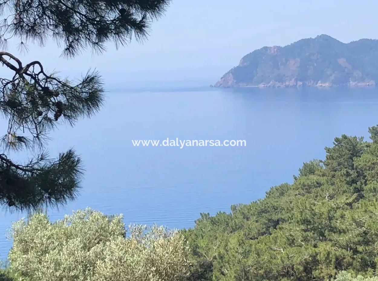 7034M2 Field For Sale With Sea View In Çandir