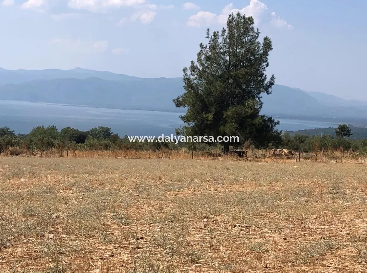 11.227M2 Land For Sale With Lake Views In Köyceğiz Zeytinalanı