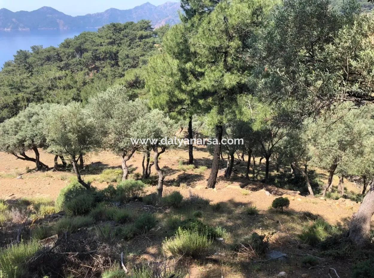 7034M2 Field For Sale With Sea View In Çandir