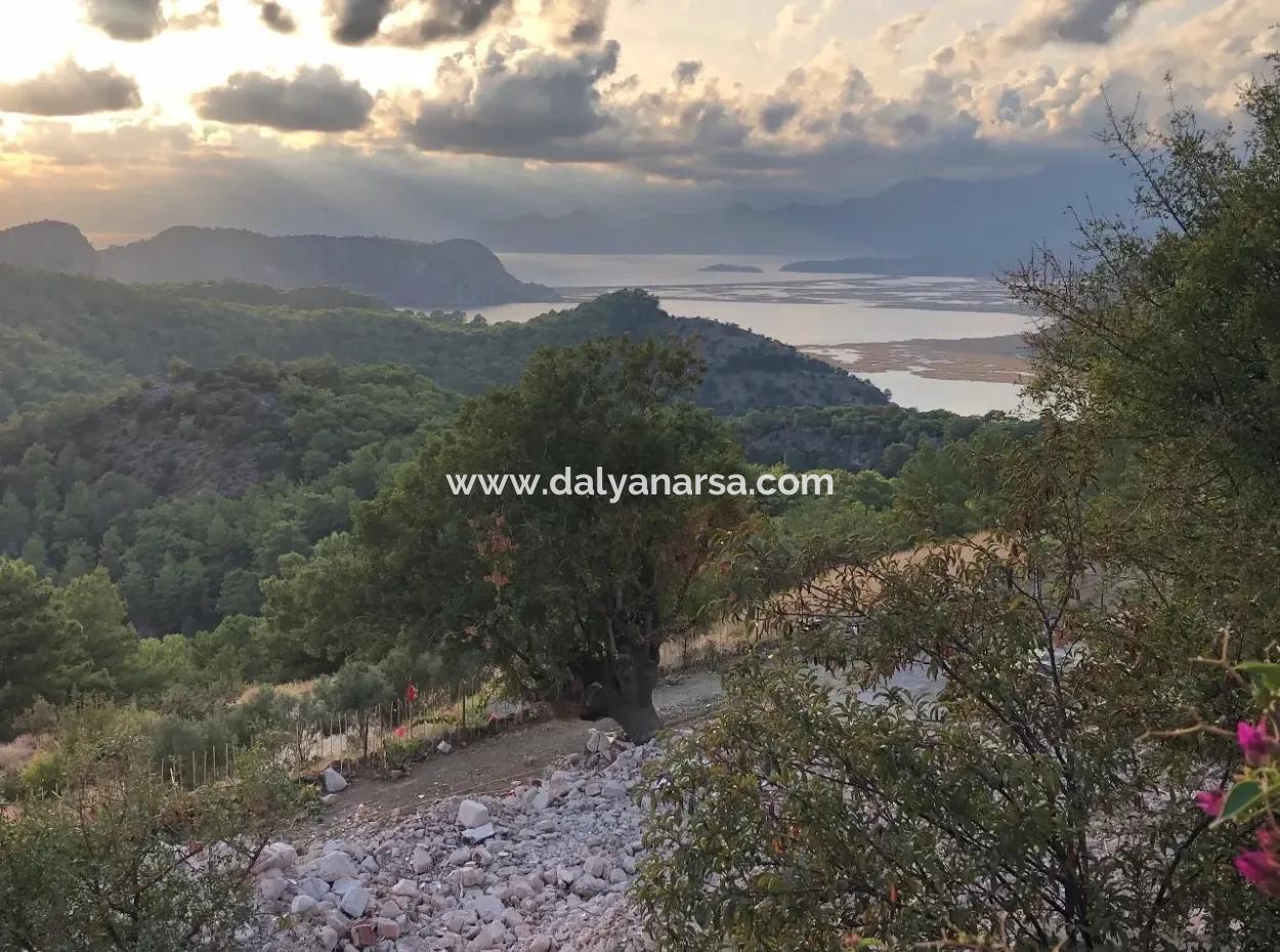 Land For Sale With 1000M2 Sea View In Gokbel