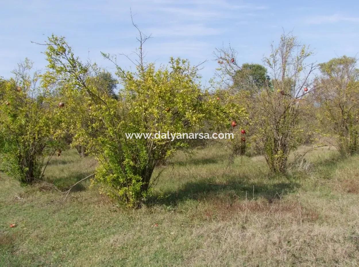 Güzelyurt Land For Sale Village Built 6670M2 Land For Sale