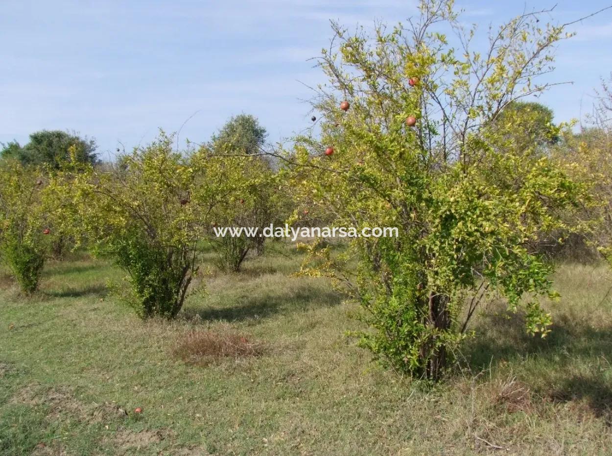 Güzelyurt Land For Sale Village Built 6670M2 Land For Sale