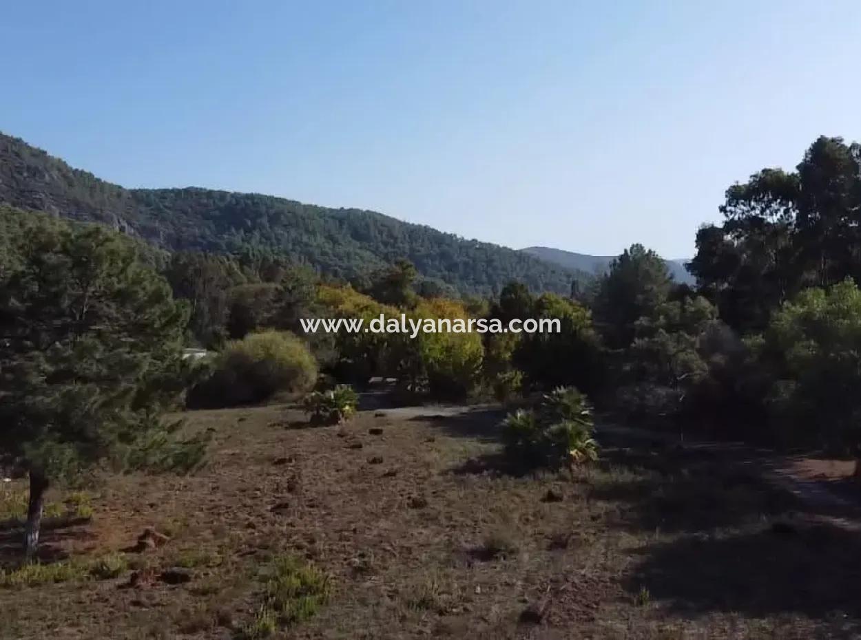 Land Land For Sale In Çamlıda Marmaris Çamlıda Sea View 11720M2 Land For Sale