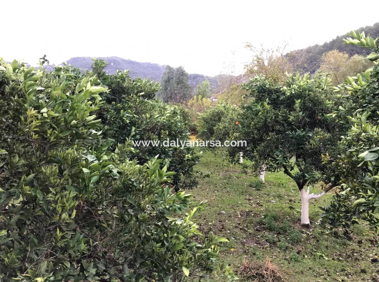 Single-Storey Detached House For Sale In 1222M2 Plot In Archers