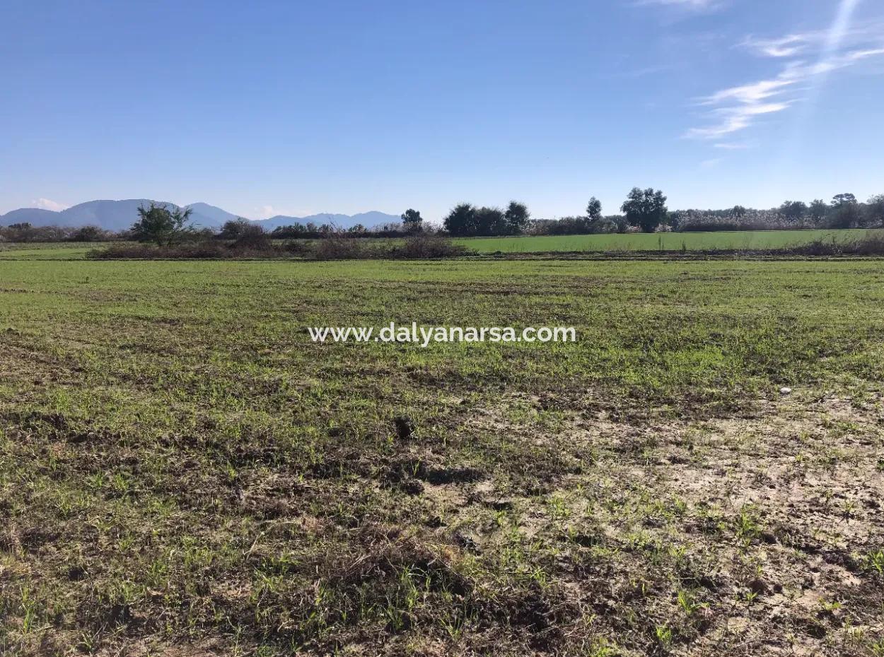 Land For Sale In Sarıgermede 30,000M2 Land For Sale With Sea View