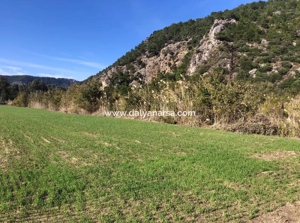 Land For Sale In Sarıgermede 30,000M2 Land For Sale With Sea View