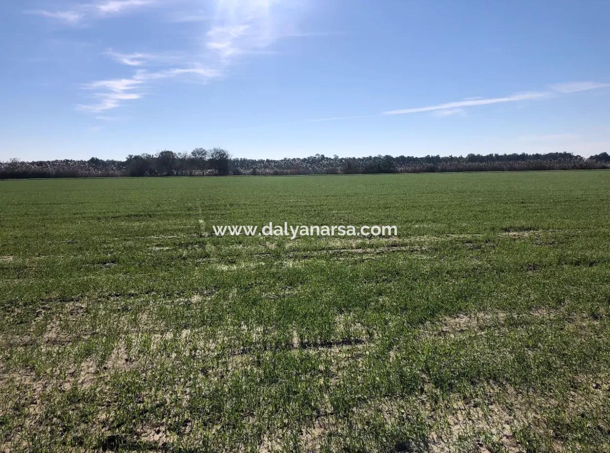 Land For Sale In Sarıgermede 30,000M2 Land For Sale With Sea View