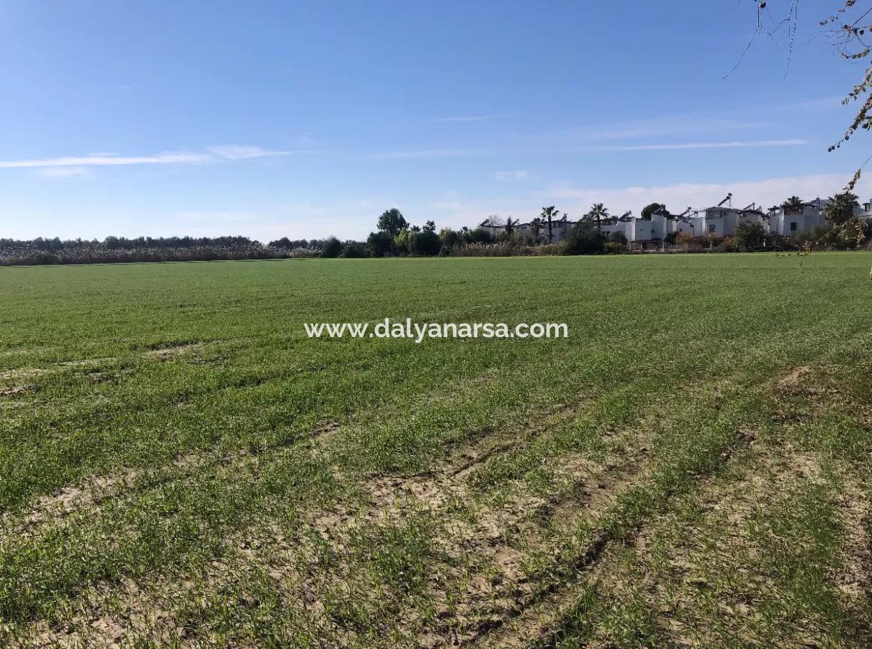 Land For Sale In Sarıgermede 30,000M2 Land For Sale With Sea View