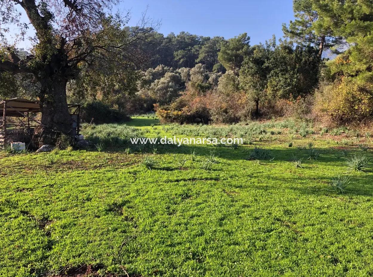 Ekincik Land For Sale 10,038M2 Land For Sale Field
