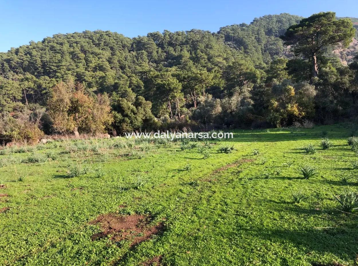 Ekincik Land For Sale 10,038M2 Land For Sale Field