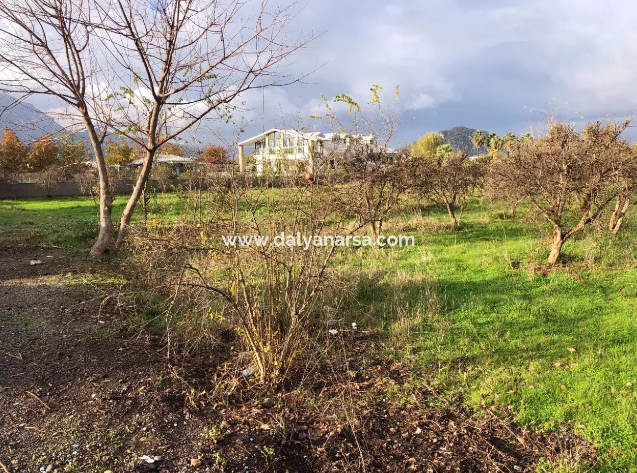Dalyan Land For Sale Near The Center 3000M2 5% Zoning Land For Sale