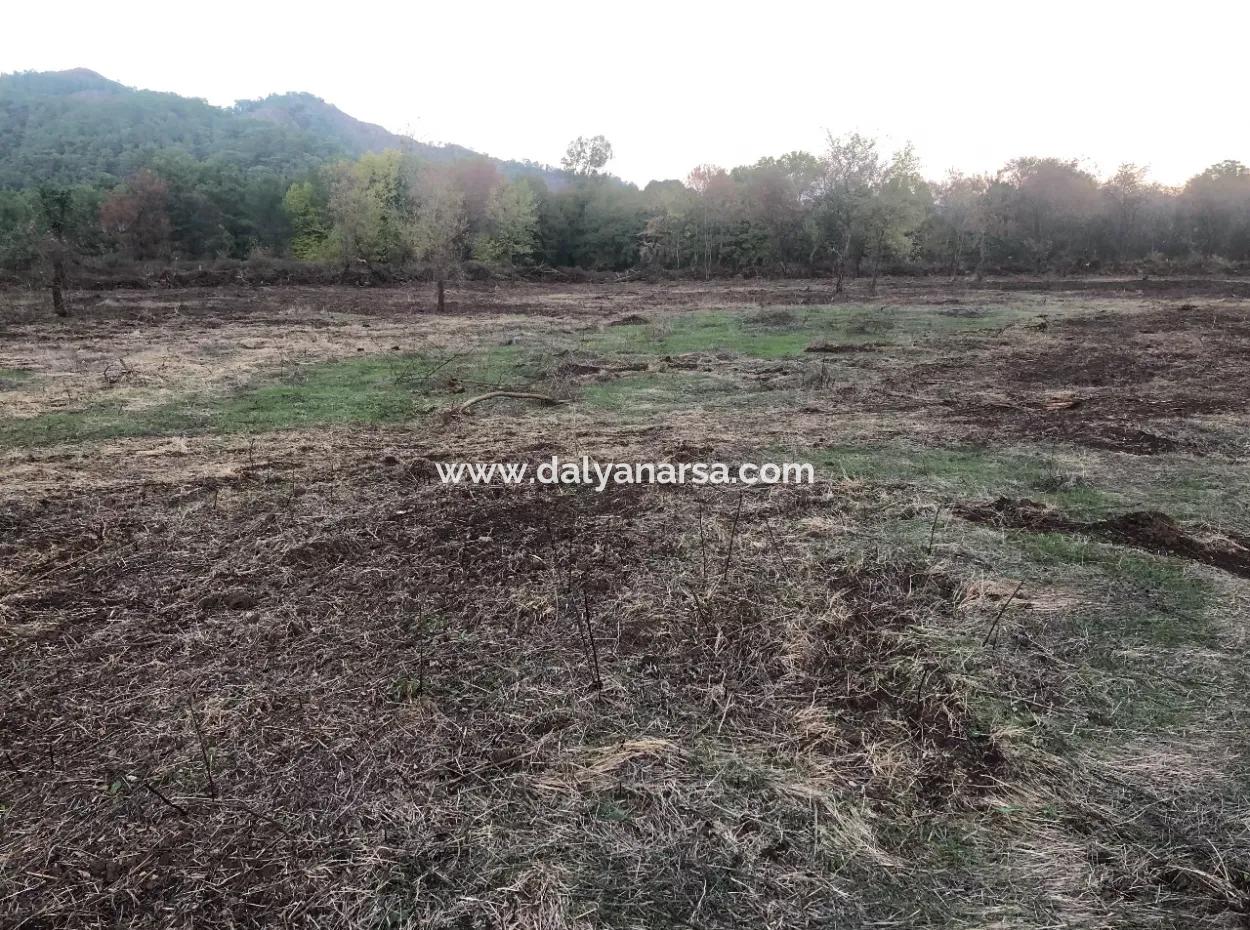 Sultaniye Land For Sale Near 10577M2 Lake Land For Sale