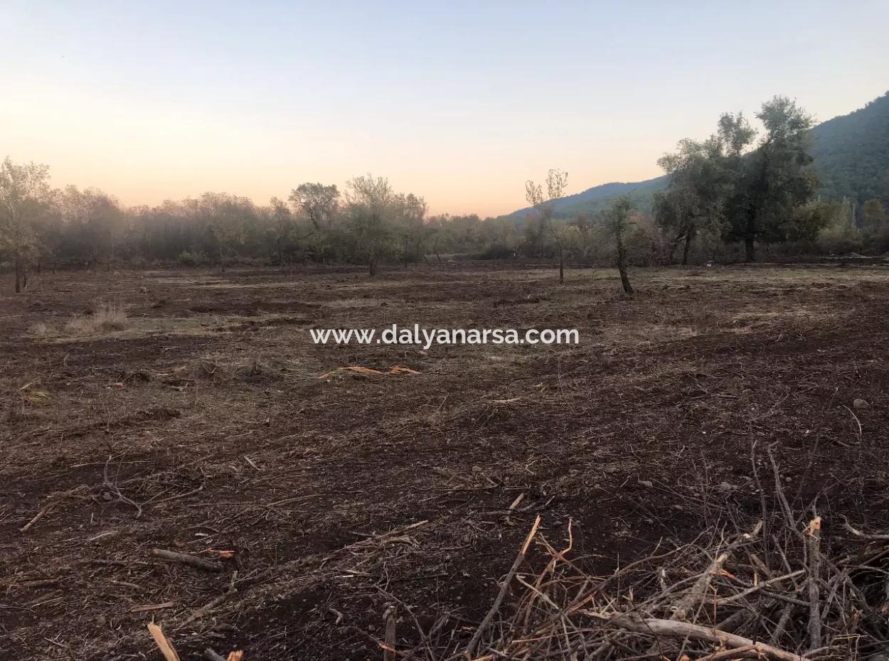 Sultaniye Land For Sale Near 10577M2 Lake Land For Sale