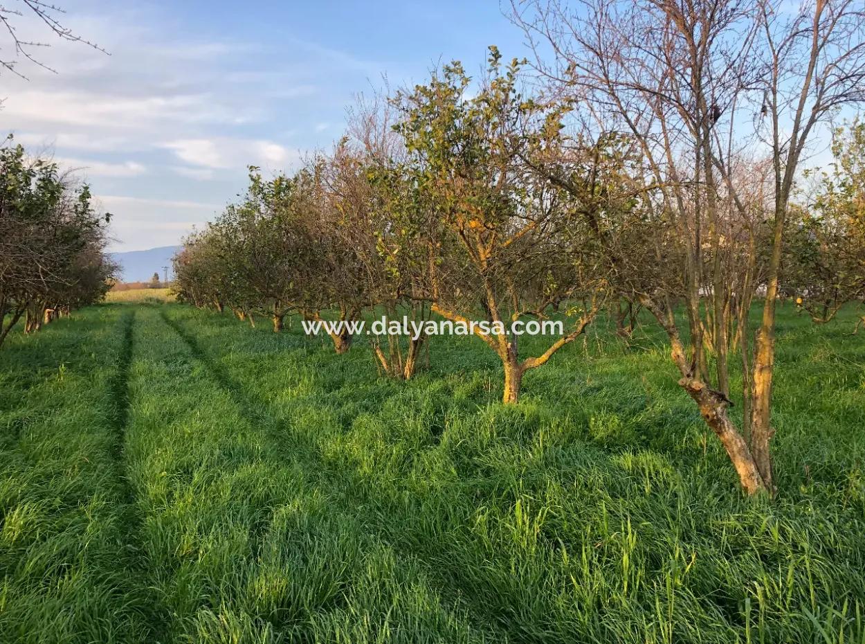 In Okçular Land For Sale 4707M2 Land For Sale