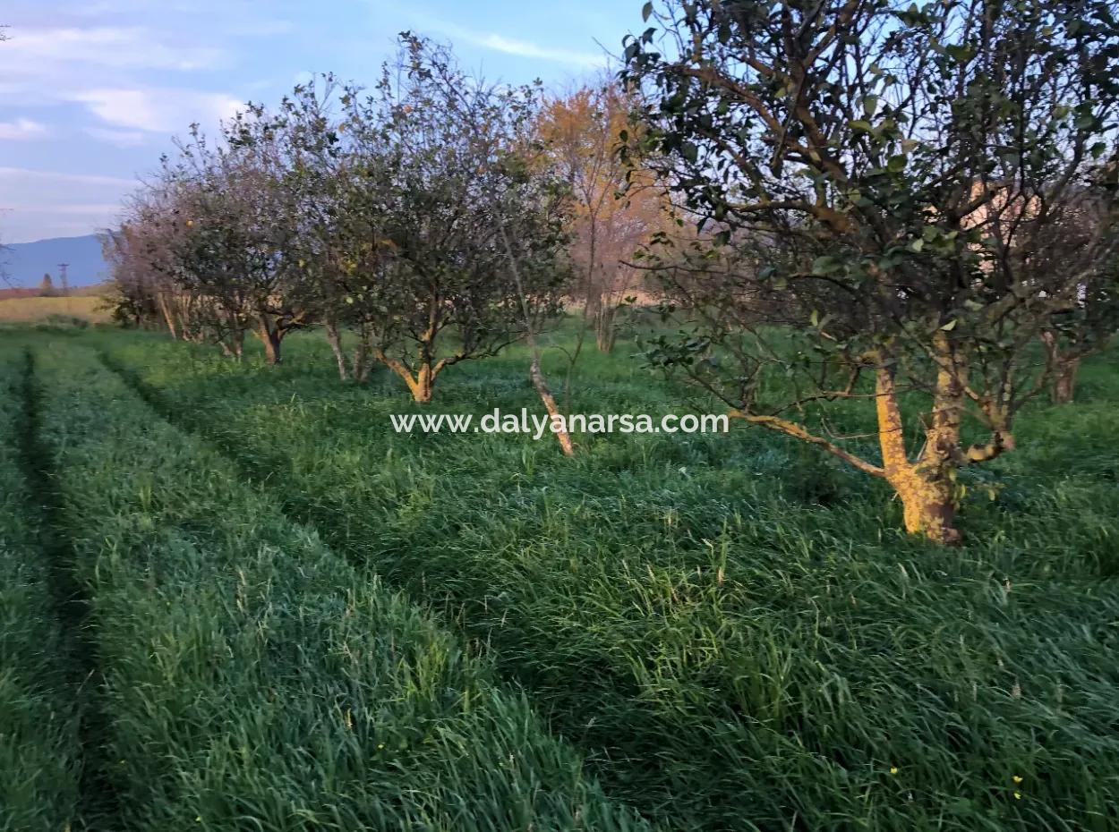 In Okçular Land For Sale 4707M2 Land For Sale