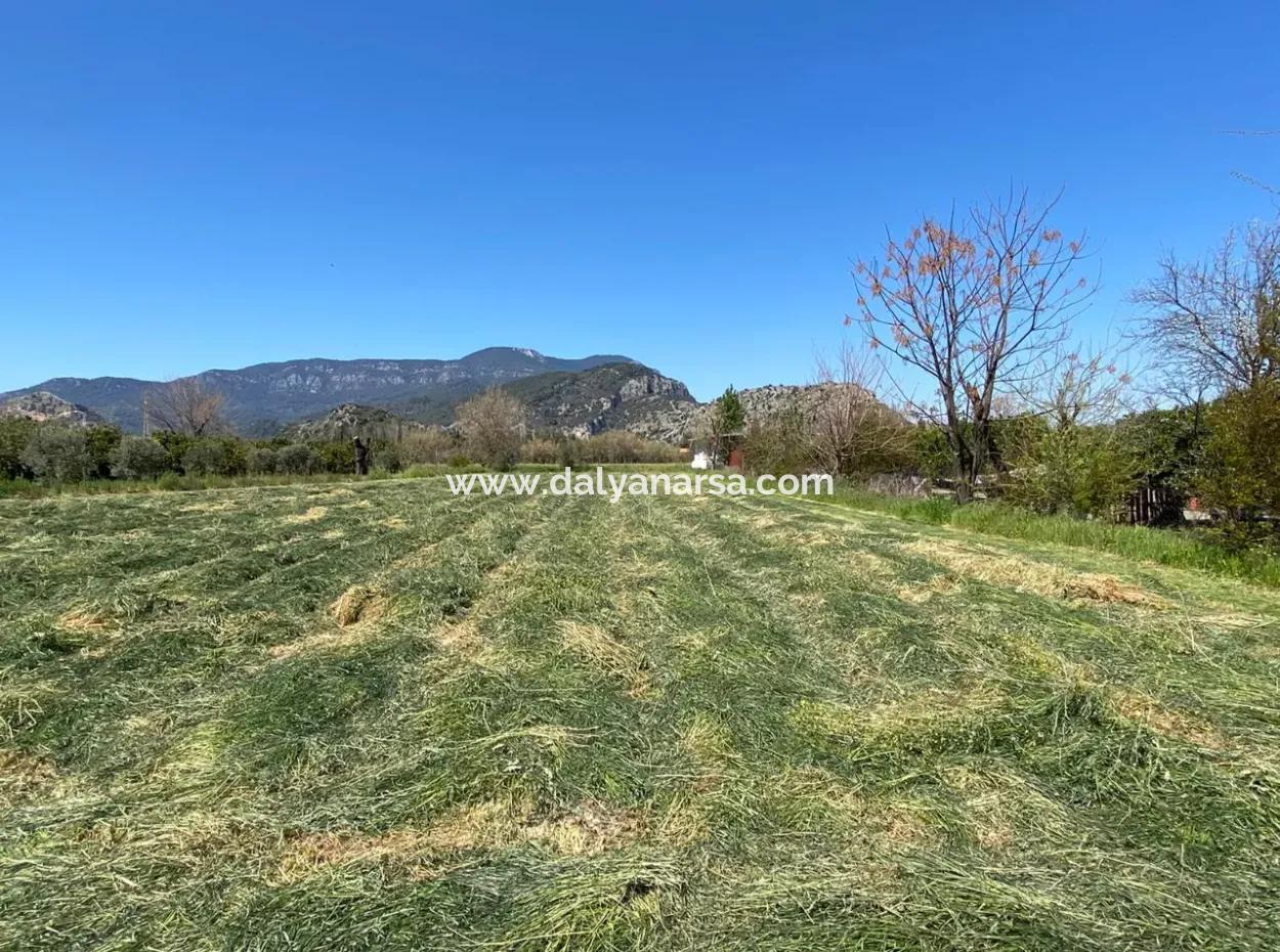 3700M2 Land For Sale In Dalyan