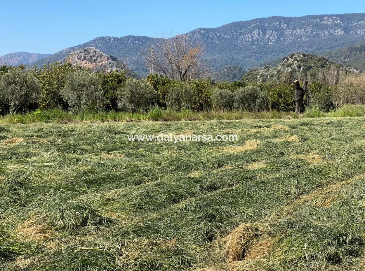 3700M2 Land For Sale In Dalyan