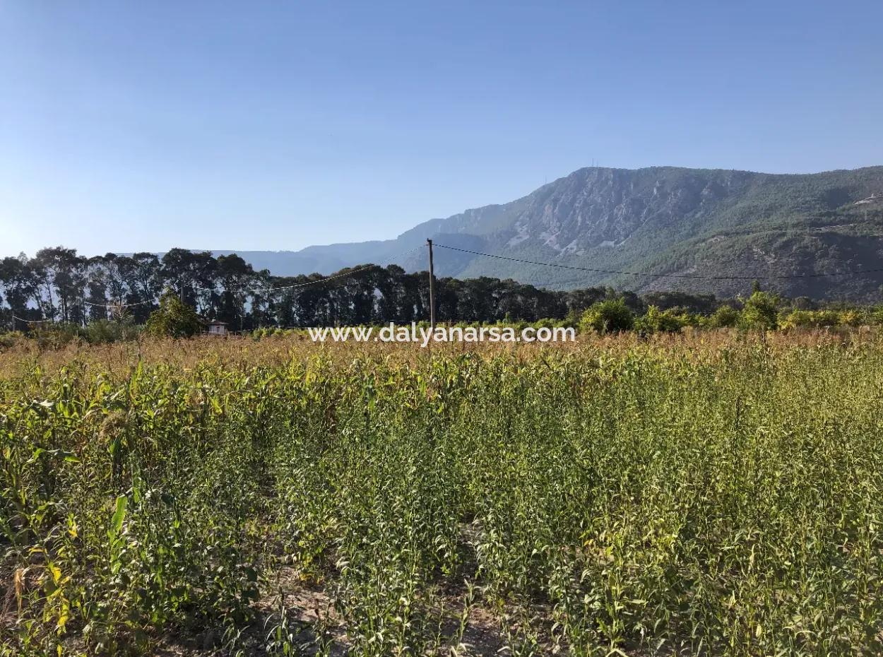 For Sale In Akçapinar 100 Acres For Sale