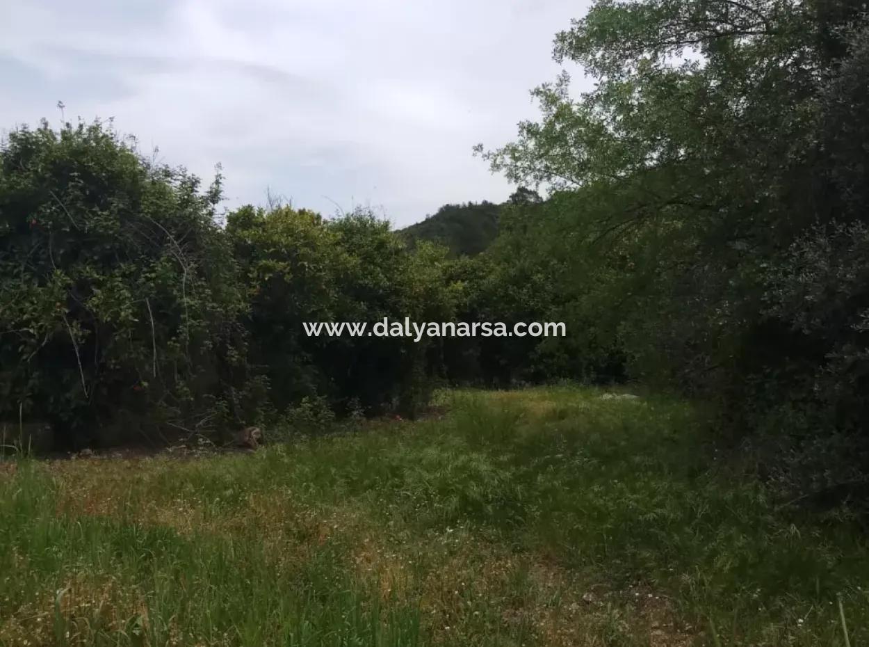 Land For Sale In Çamlida