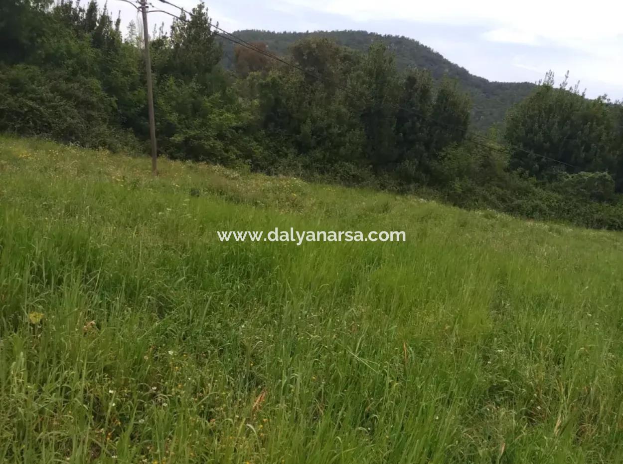 Land For Sale In Çamlida