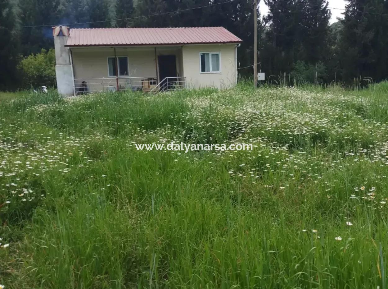 Land For Sale In Çamlida