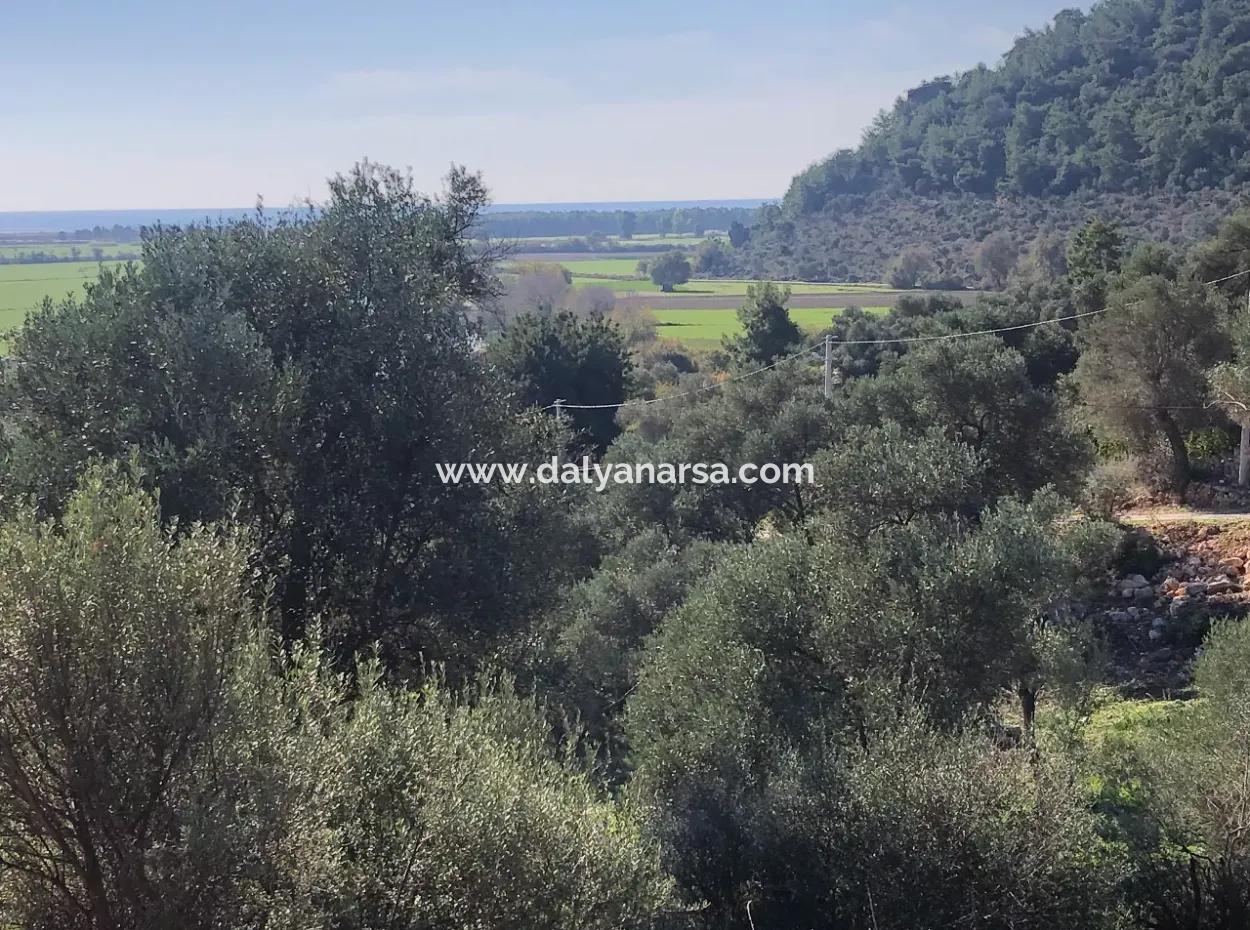 Land For Sale With Sea View Of Fevziye